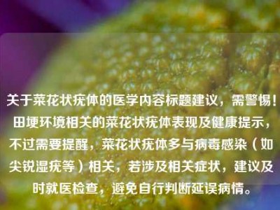 关于菜花状疣体的医学内容标题建议，需警惕！田埂环境相关的菜花状疣体表现及健康提示，不过需要提醒，菜花状疣体多与病毒感染（如尖锐湿疣等）相关，若涉及相关症状，建议及时就医检查，避免自行判断延误病情。