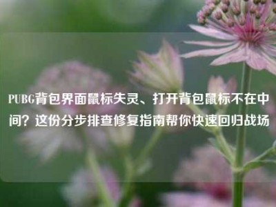 PUBG背包界面鼠标失灵、打开背包鼠标不在中间？这份分步排查修复指南帮你快速回归战场