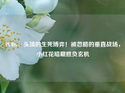 PUBG，头顶的生死博弈！被忽略的垂直战场，小红花暗藏胜负玄机