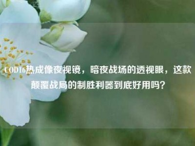 COD16热成像夜视镜，暗夜战场的透视眼，这款颠覆战局的制胜利器到底好用吗？