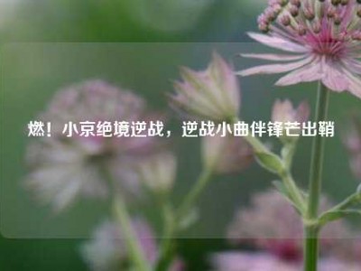 燃！小京绝境逆战，逆战小曲伴锋芒出鞘