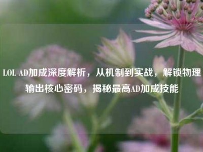 LOL AD加成深度解析，从机制到实战，解锁物理输出核心密码，揭秘最高AD加成技能