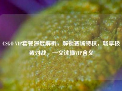 CSGO VIP套餐深度解析，解锁赛场特权，畅享极致对战，一文读懂VIP含义