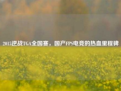 2015逆战TGA全国赛，国产FPS电竞的热血里程碑