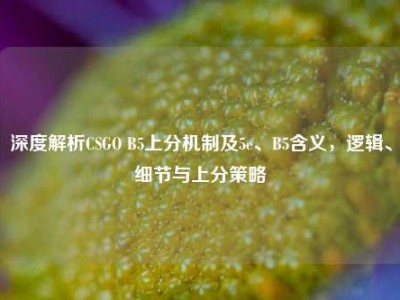 深度解析CSGO B5上分机制及5e、B5含义，逻辑、细节与上分策略