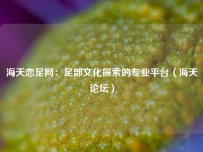 海天恋足网：足部文化探索的专业平台（海天论坛）