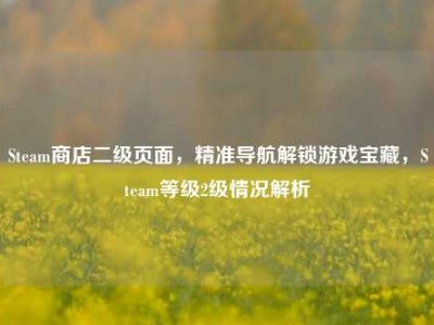 Steam商店二级页面，精准导航解锁游戏宝藏，Steam等级2级情况解析