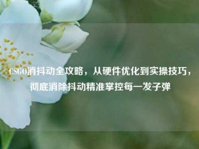CSGO消抖动全攻略，从硬件优化到实操技巧，彻底消除抖动精准掌控每一发子弹