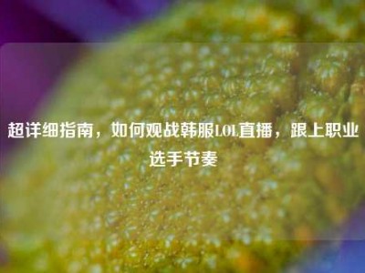 超详细指南，如何观战韩服LOL直播，跟上职业选手节奏