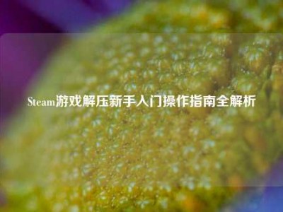 Steam游戏解压新手入门操作指南全解析