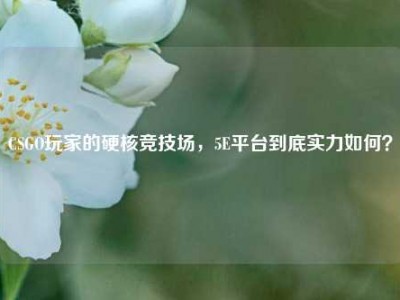 CSGO玩家的硬核竞技场，5E平台到底实力如何？