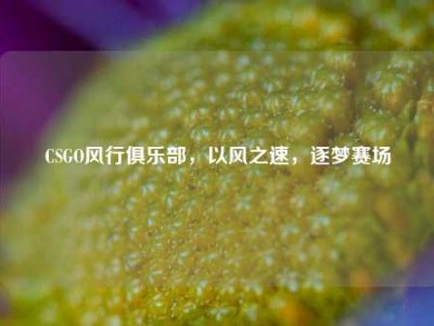 CSGO风行俱乐部，以风之速，逐梦赛场