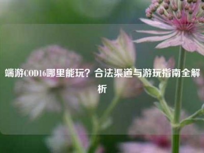 端游COD16哪里能玩？合法渠道与游玩指南全解析