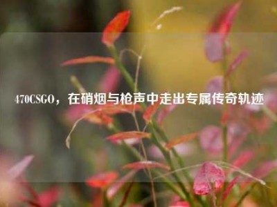 470CSGO，在硝烟与枪声中走出专属传奇轨迹