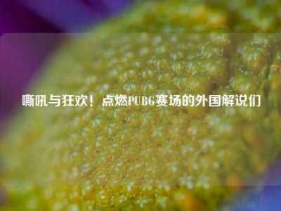 嘶吼与狂欢！点燃PUBG赛场的外国解说们