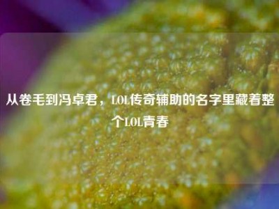 从卷毛到冯卓君，LOL传奇辅助的名字里藏着整个LOL青春