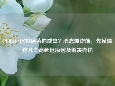 PUBG延迟拉满落地成盒？心态爆炸前，先摸清这几个高延迟原因及解决办法