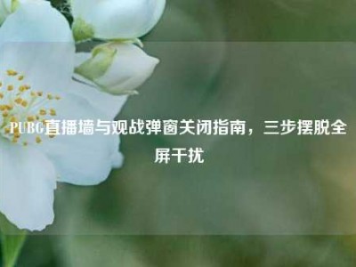 PUBG直播墙与观战弹窗关闭指南，三步摆脱全屏干扰