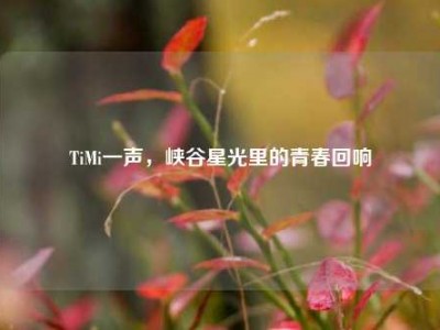TiMi一声，峡谷星光里的青春回响
