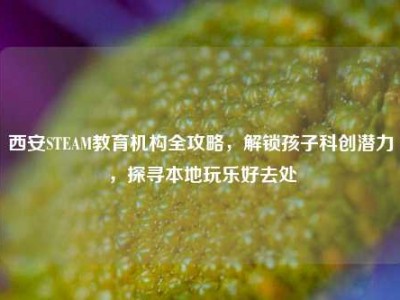 西安STEAM教育机构全攻略，解锁孩子科创潜力，探寻本地玩乐好去处