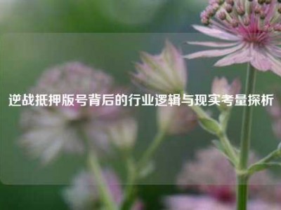 逆战抵押版号背后的行业逻辑与现实考量探析