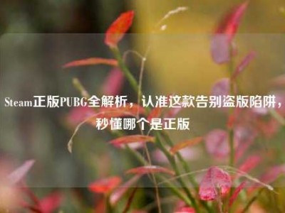 Steam正版PUBG全解析，认准这款告别盗版陷阱，秒懂哪个是正版