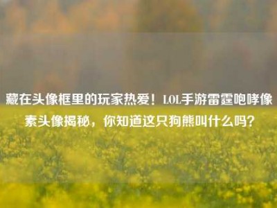 藏在头像框里的玩家热爱！LOL手游雷霆咆哮像素头像揭秘，你知道这只狗熊叫什么吗？