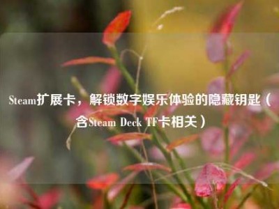 Steam扩展卡，解锁数字娱乐体验的隐藏钥匙（含Steam Deck TF卡相关）