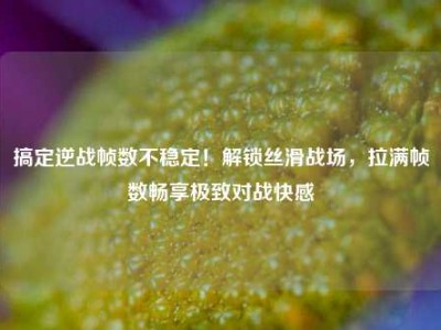 搞定逆战帧数不稳定！解锁丝滑战场，拉满帧数畅享极致对战快感