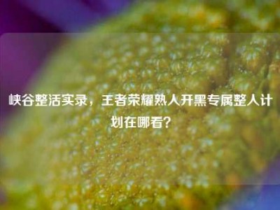 峡谷整活实录，王者荣耀熟人开黑专属整人计划在哪看？