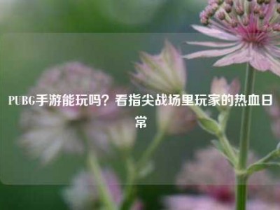 PUBG手游能玩吗？看指尖战场里玩家的热血日常