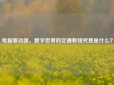 电脑驱动器，数字世界的交通枢纽究竟是什么？