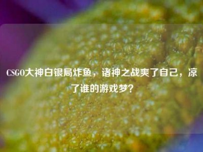 CSGO大神白银局炸鱼，诸神之战爽了自己，凉了谁的游戏梦？