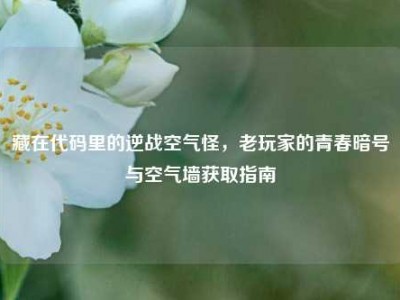 藏在代码里的逆战空气怪，老玩家的青春暗号与空气墙获取指南