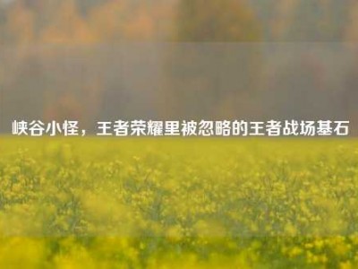 峡谷小怪，王者荣耀里被忽略的王者战场基石