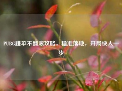 PUBG跳伞不翻滚攻略，稳准落地，开局快人一步