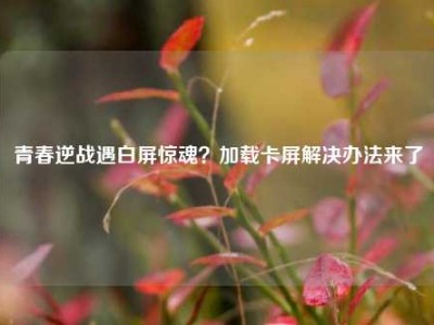 青春逆战遇白屏惊魂？加载卡屏解决办法来了