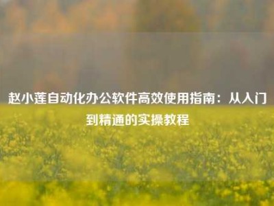 赵小莲自动化办公软件高效使用指南：从入门到精通的实操教程