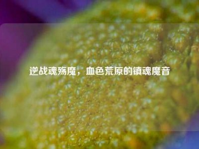 逆战魂殇魔，血色荒原的镇魂魔音