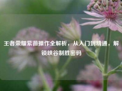 王者荣耀紫薇操作全解析，从入门到精通，解锁峡谷制胜密码