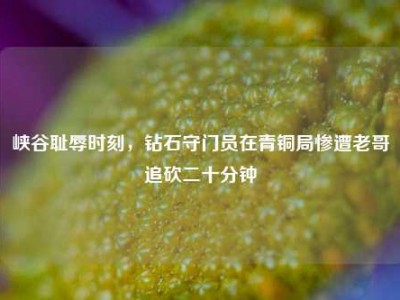 峡谷耻辱时刻，钻石守门员在青铜局惨遭老哥追砍二十分钟