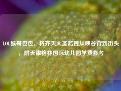 LOL猴哥包包，将齐天大圣酷拽从峡谷背到街头，附天津格林国际幼儿园学费参考