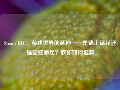 Steam DLC，游戏世界的延伸——是锦上添花还是画蛇添足？教你如何退款