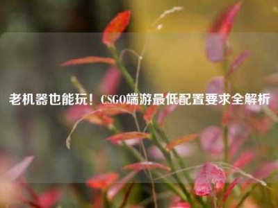 老机器也能玩！CSGO端游最低配置要求全解析