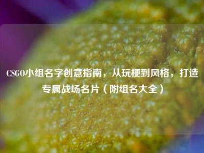 CSGO小组名字创意指南，从玩梗到风格，打造专属战场名片（附组名大全）