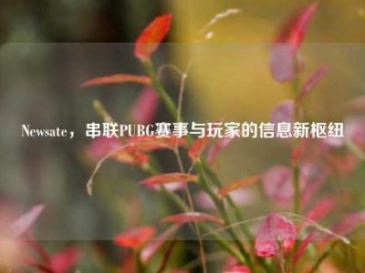 Newsate，串联PUBG赛事与玩家的信息新枢纽