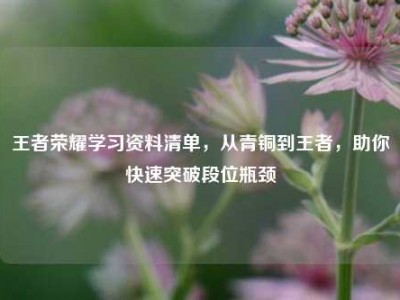 王者荣耀学习资料清单，从青铜到王者，助你快速突破段位瓶颈