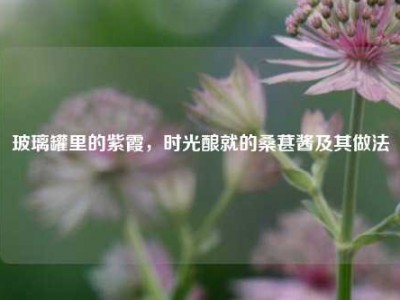 玻璃罐里的紫霞，时光酿就的桑葚酱及其做法