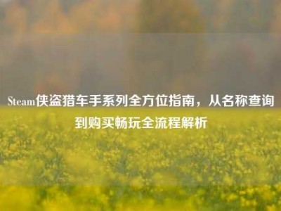 Steam侠盗猎车手系列全方位指南，从名称查询到购买畅玩全流程解析