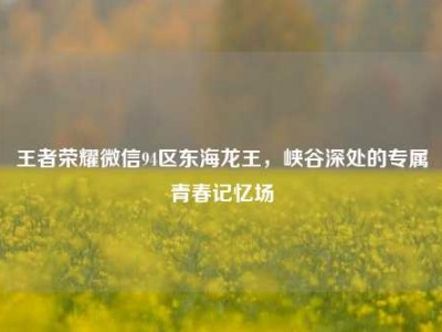 王者荣耀微信94区东海龙王，峡谷深处的专属青春记忆场